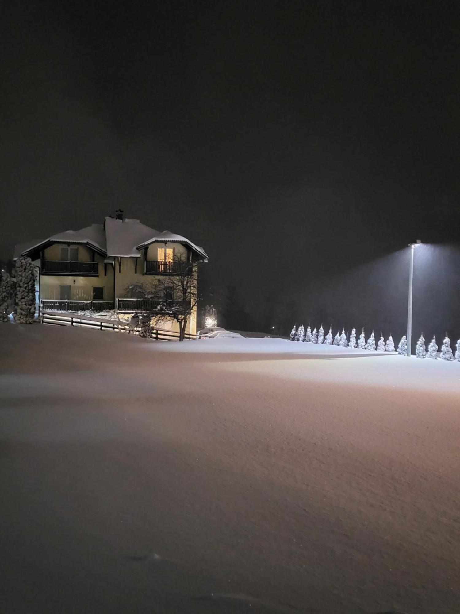 Apartments Vila Velickovic Zlatibor Exterior photo