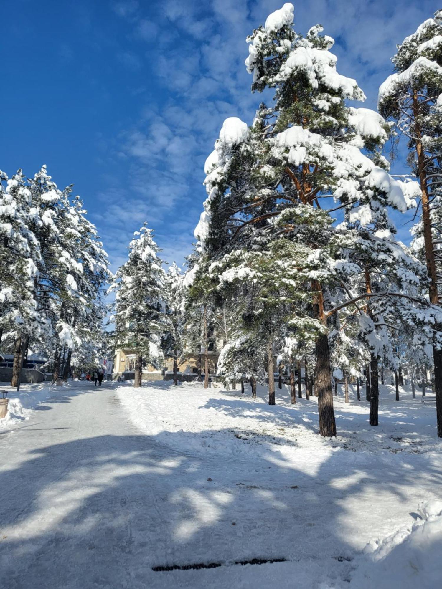 Apartments Vila Velickovic Zlatibor Exterior photo